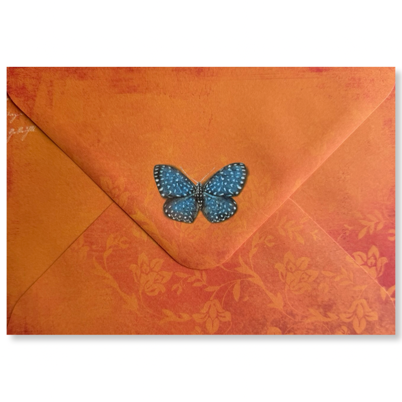 B6 Enveloppen Oranje B6 Enveloppen Oranje