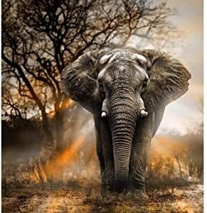 diamond painting olifant