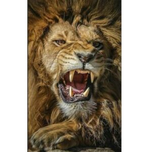 diamond painting brullende leeuw