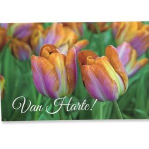 Felicitatie wenskaart