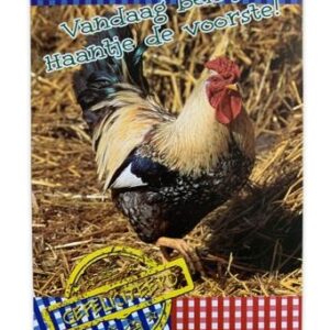Hartelijk Gefeliciteerd