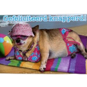 felicitatie wenskaart