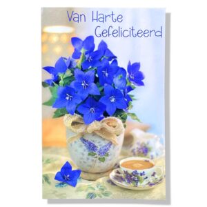 van harte gefeliciteerd wenskaart