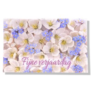 Fijne verjaardag