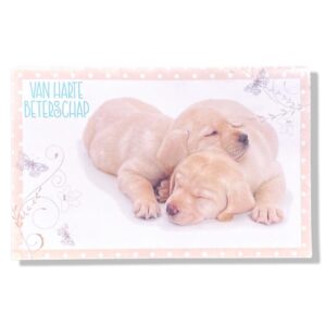 Van Harte Beterschap Puppies