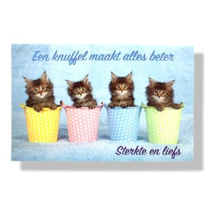 sterkte en liefs beterschap wenskaart
