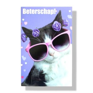 Beterschap wenskaart grappige kat