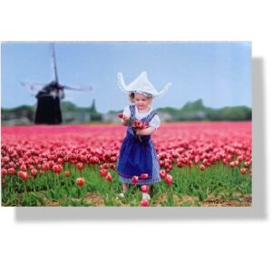 Blanco wenskaart Hollands meisje in tulpenveld