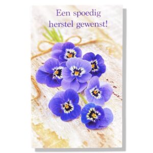 Een Spoedig Herstel Gewenst!