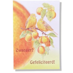 Zwanger? Gefeliciteerd!
