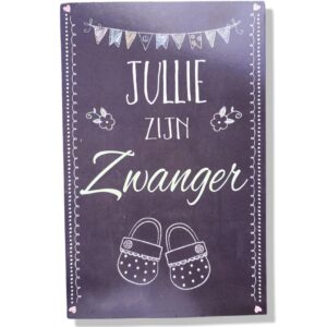 Jullie zijn Zwanger