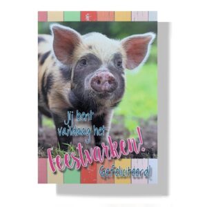 Verjaardag wenskaart feestvarken