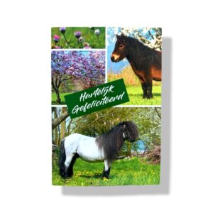 Hartelijk gefeliciteerd Verjaardag Wenskaart