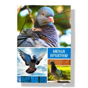hartelijk gefeliciteerd