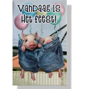 Vandaag is het feest wenskaart