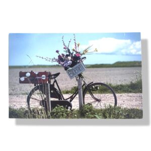 blanco wenskaart bloemen