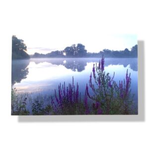 blanco wenskaart natuur