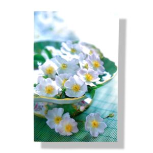 blanco wenskaart bloemetjes