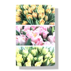 blanco wenskaarten bloemen