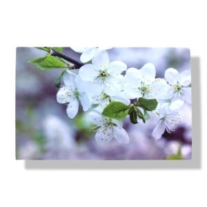 blanco wenskaart witte bloemen