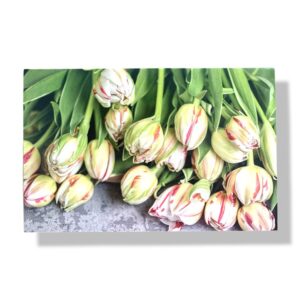 blanco wenskaart tulpen