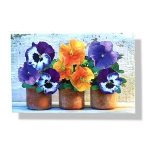 Blanco wenskaart | Bloemen | 11x17
