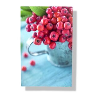 blanco wenskaart bloemen