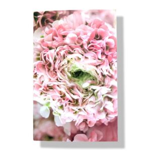blanco wenskaart roze hortensia