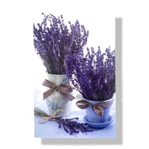 blanco wenskaart bloemen lavendel