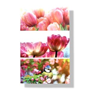 blanco wenskaart bloemen