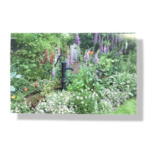 blanco wenskaart bloemen tuin