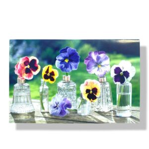 blanco wenskaart bloemen