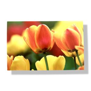 blanco wenskaart bloemen