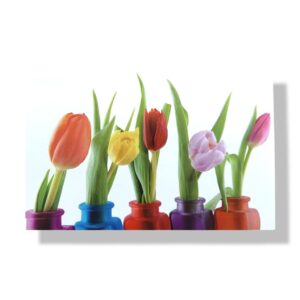 blanco wenskaart bloemen