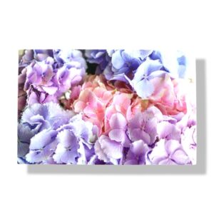 blanco wenskaart bloemen