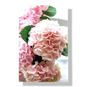 blanco wenskaart bloemen