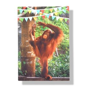 blanco wenskaart dieren