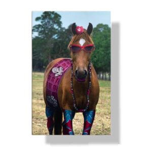blanco wenskaart paard