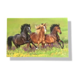 blanco wenskaart rennende paarden