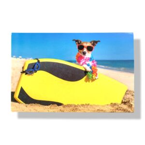blanco wenskaart grappige hond