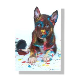 blanco wenskaart hondje