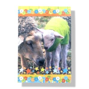 blanco wenskaart dieren schaap met geitje