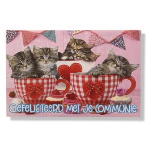 Communie Wenskaart Kittens in theekopjes