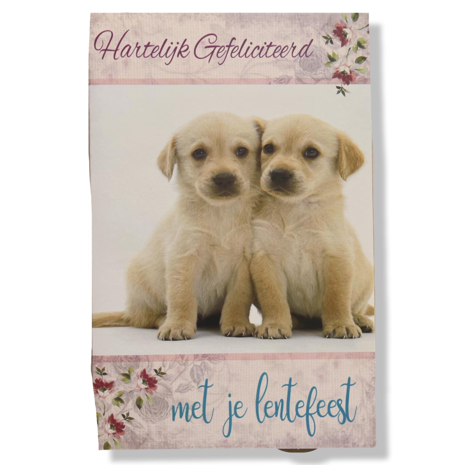 Lentefeest Wenskaart Puppies Lentefeest Wenskaart Puppies