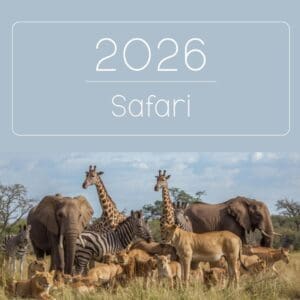 2026 Kalender Safari