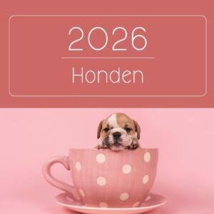 2026 Kalender Honden