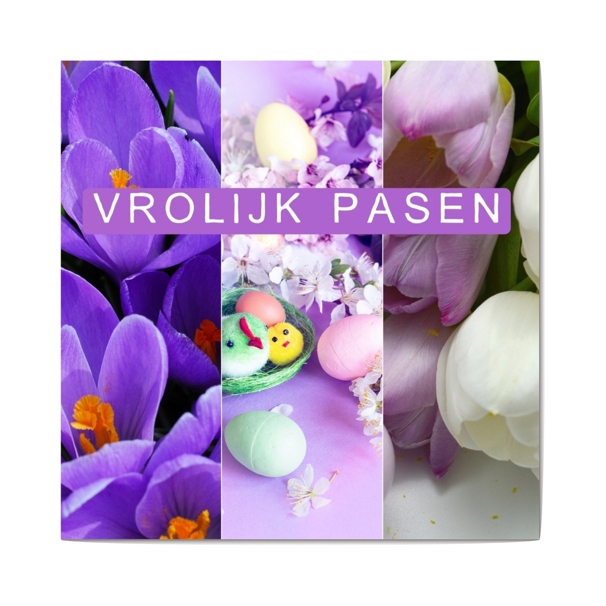 VP - foto - 4 Vrolijk pasen
