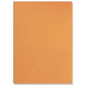 A4 Karton Pompoen Oranje