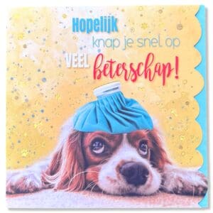 Dierenkaart Hopelijk knap je snel weer op Veel Beterschap!