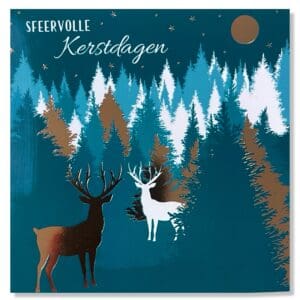 Sfeervolle Kerstdagen